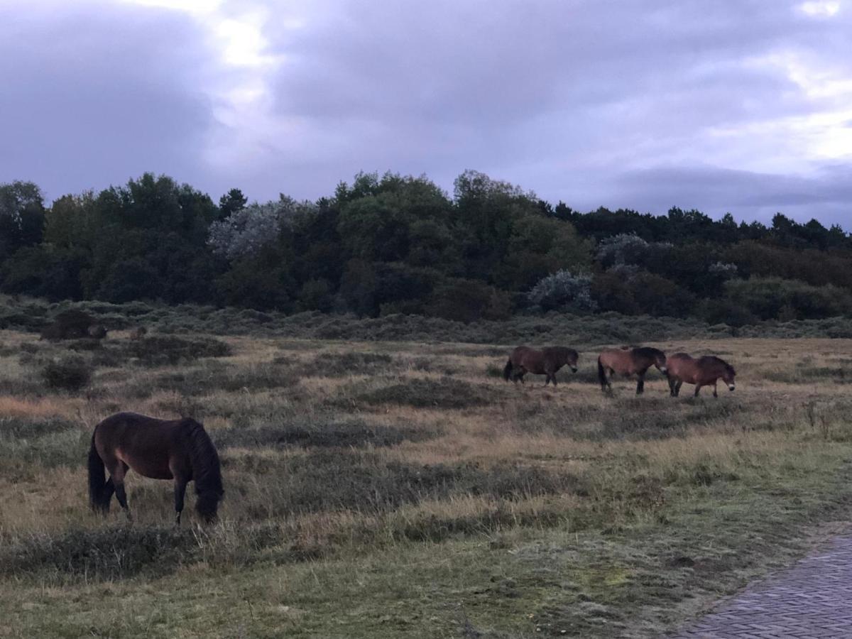 Familiehuis Achter De Duijnhoeve Zuidbakkum Extérieur photo