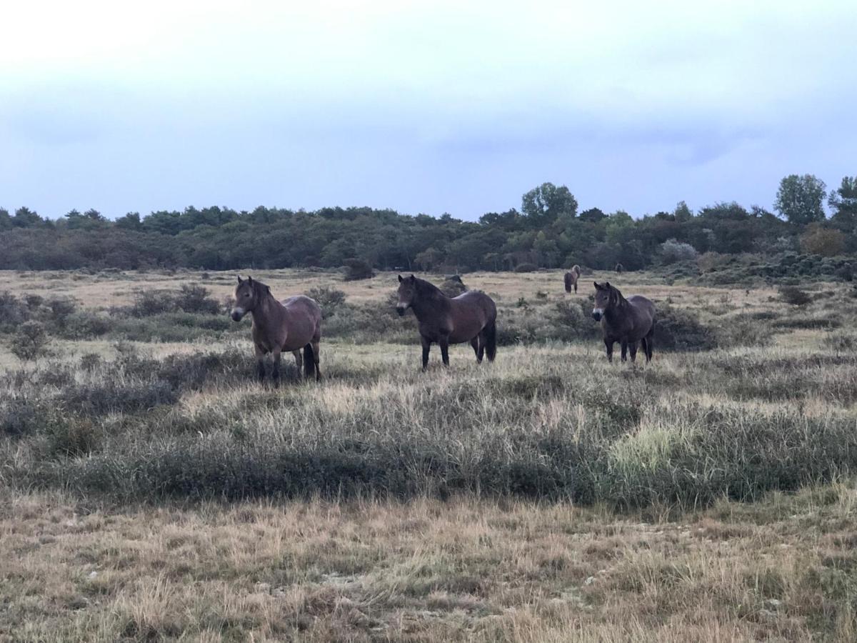 Familiehuis Achter De Duijnhoeve Zuidbakkum Extérieur photo